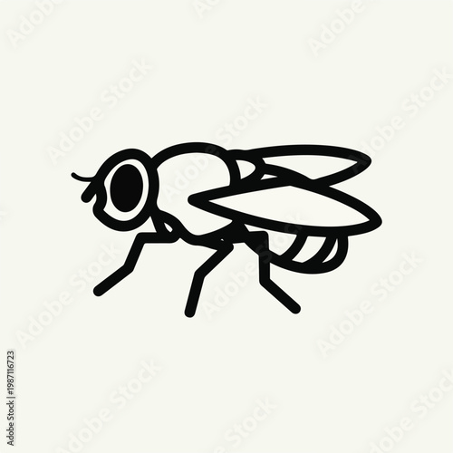 Black and white illustration of a fly with large eyes