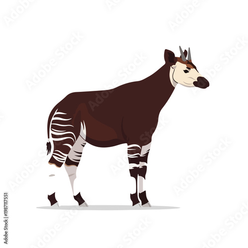 African animal with distinctive stripes standing isolated