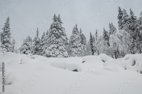 Winter landscape with picturesque snow-covered forest in the national park Zuratkul, South Ural, Russian Federation