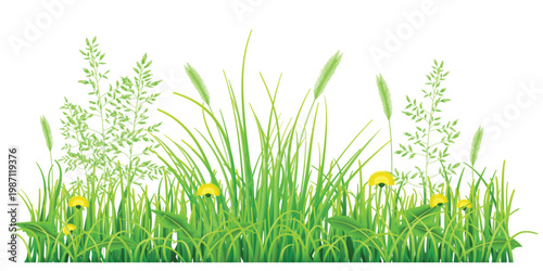 Grass border set isolated white background