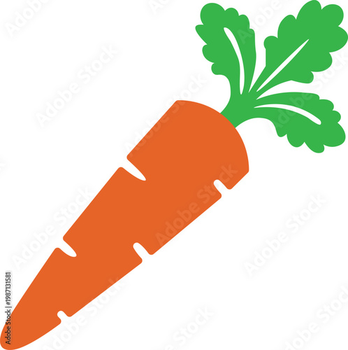 vector illustration of a carrot