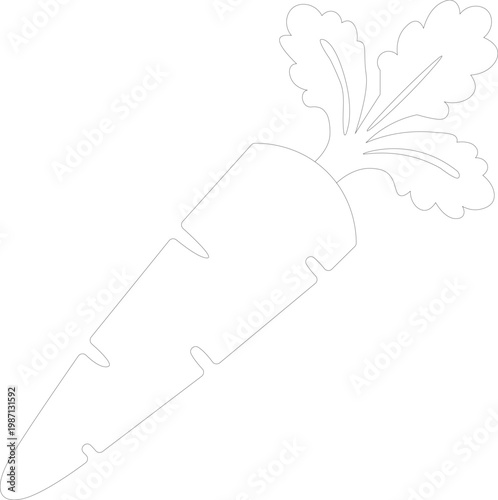 vector illustration of a carrot, carrot drawing