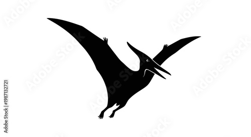 Black silhouette of a flying pterodactyl.
