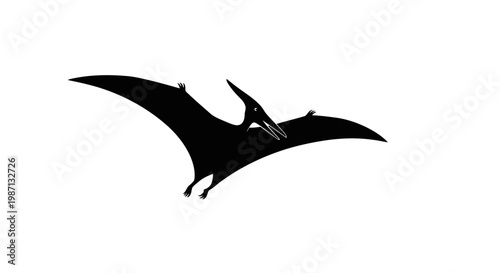 Black silhouette of a flying pterosaur.