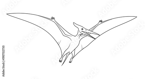 A flying pterosaur with outstretched wings.