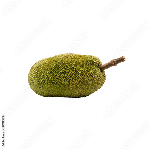 Jackfruit Isolated on Transparent Background