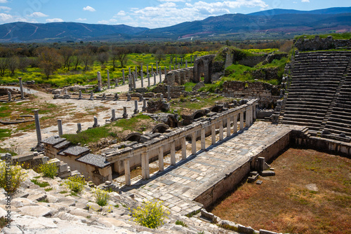 The Ancient Theater and Rom...