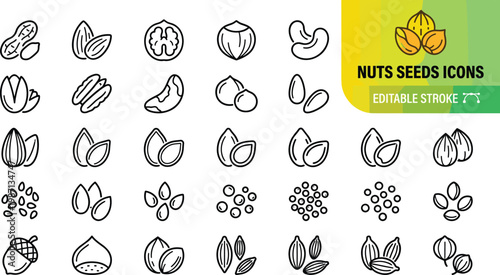 A collection of 20 minimalist nut and seed icons in a flat design style, ideal for food packaging, healthy eating apps, nutrition guides, and wellness marketing materials.