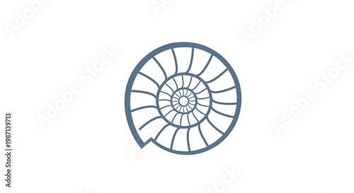 A blue nautilus shell spiral design.