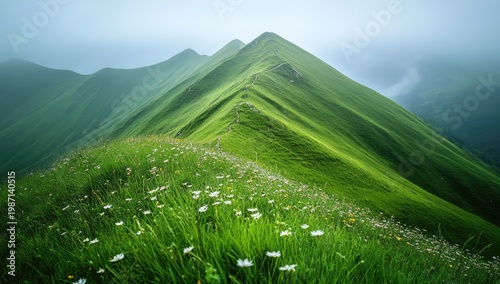 Lush green mountain ridge under a misty sky, a natural paradise.
