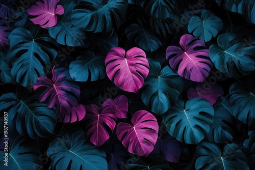 Vibrant Monstera Leaves - A Colorful Tropical Foliage Display.
