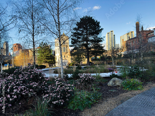 Sunny urban park with flowering shrubs and city skyline in Manchester, UK on a clear winter afternoon