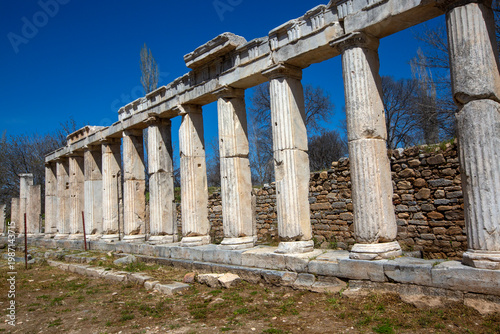 The Ancient Marble Colonnad...