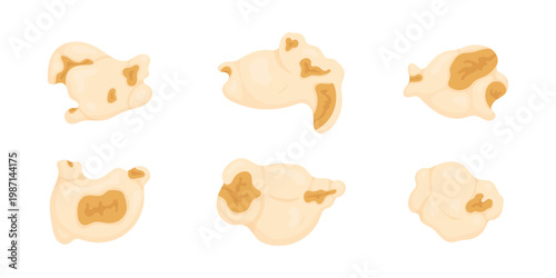 A set of popcorn on a white background. A snack before watching a movie. Natural product.
