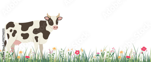 Horizontal banner with a spotted cow standing in grass with flowers, place for text. Vector illustration isolated on a white background