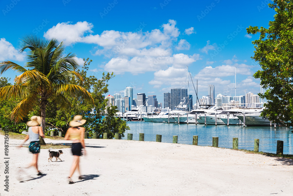 Fototapeta premium Two motion blurred people walking their dog along the sandy waterfront of Watson Island, with a picturesque view of the downtown Miami skyline and a yacht-filled marina in the main focus.