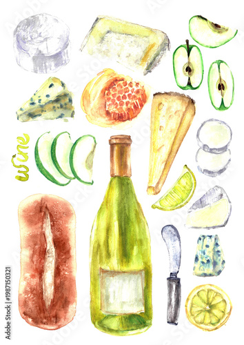 Wine and cheeseboard watercolor illustration. White wine bottle, snack, cheese, fruits, bread, honey. For food and drink background, wine list, party invitation, menu