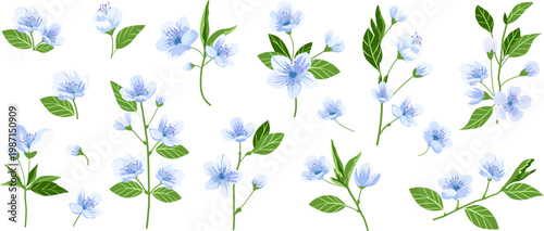 Cherry blossom background set, pink sakura petals, japanese spring branch, watercolor style.