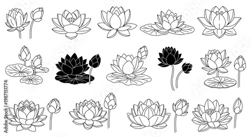 Collection of Various Lotus Flower Illustrations with Buds and Blossoms in Black and White Outline and Silhouette Styles