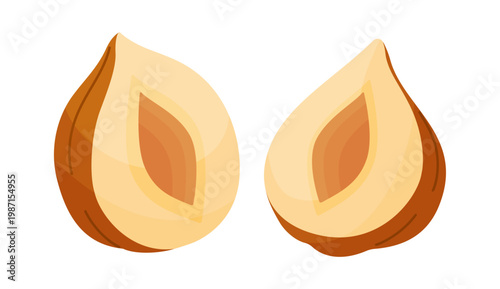 Two halves of hazelnut, exposing inner kernel structure. Hand drawn flat style isolated on transparent background. For stickers, menus, food icons, confectionery packaging, healthy recipe blogs