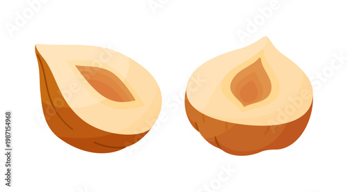 Two halves of hazelnut, exposing inner kernel structure. Hand drawn flat style isolated on transparent background. For stickers, menus, food icons, confectionery packaging, healthy recipe blogs