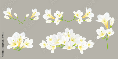 Watercolor freesia floral set, white and purple flowers, botanical wedding bouquet, vintage style.