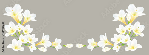 Watercolor freesia floral frame, white and violet blossoms, green leaves, elegant botanical design.