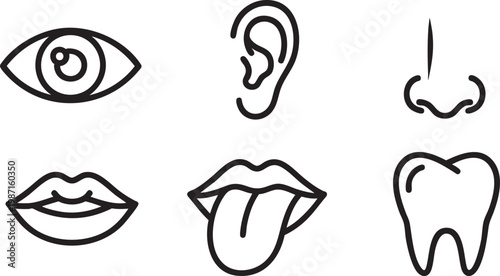 Human sense organs and dental health line icon set