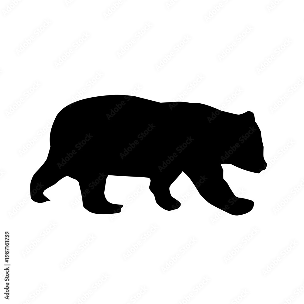 Fototapeta premium Bear silhouette vector