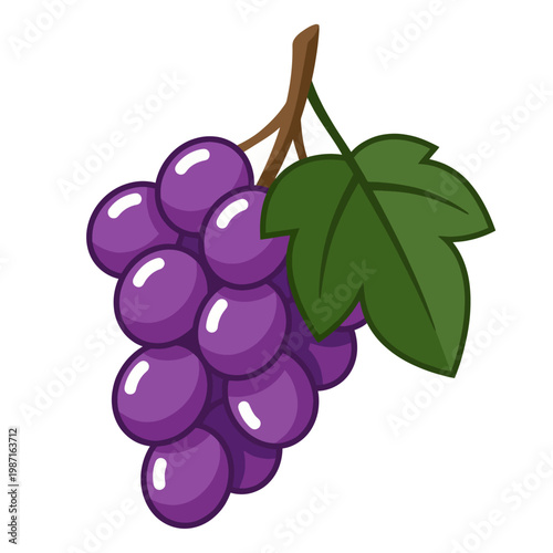 A delightful bunch of plump, ripe purple grapes, featuring glossy skin and fresh green leaves, showcasing their rich color and texture in a bright presentation.