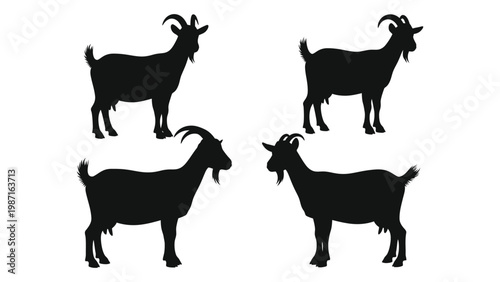 Bild auf Leinwand Four black silhouettes of goats varying in pose against a white background