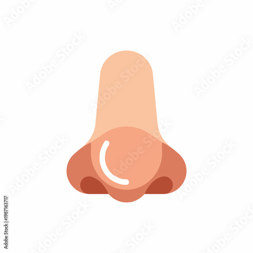 A stylized, cartoonish illustration of a nose, emphasizing simplicity and minimalist design, creating a fun and expressive representation of facial features.