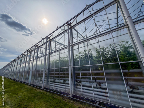 Modern commercial greenhouse complex at sunset in Rijkevorsel, België - agricultural farming structure