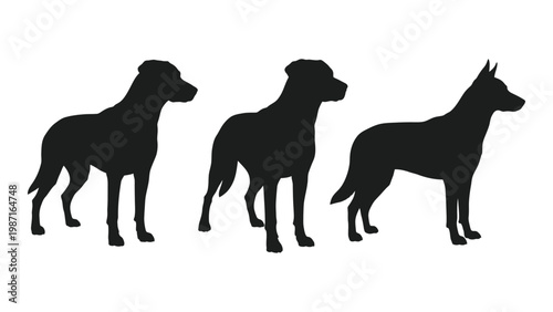 Silhouettes of three different dog breeds standing in a row against a white background
