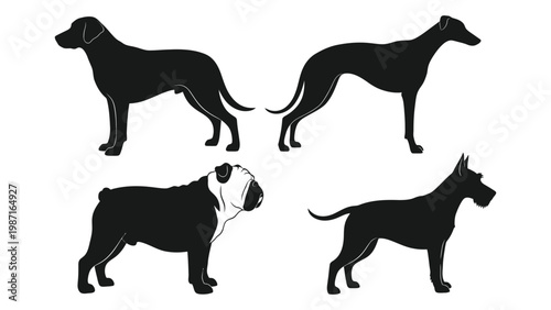 Silhouettes of four distinct dog breeds great dane bulldog greyhound and labrador