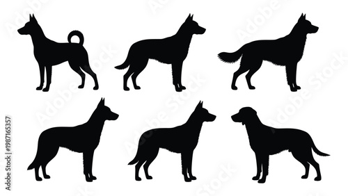 Silhouettes of various dog breeds standing and facing different directions