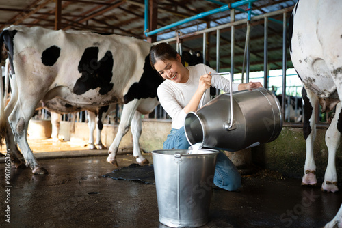Canvastavla Farmer woman pouring raw milk into storage tank milking in dairy farm