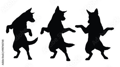 Three silhouetted dogs appear to be dancing or playfully posing in a row