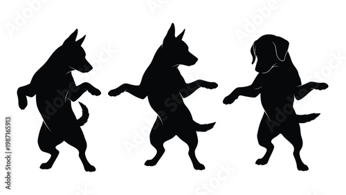 Silhouettes of three dogs in playful upright poses against a white background