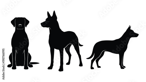 Three black silhouettes of dogs are displayed in varying poses and breeds