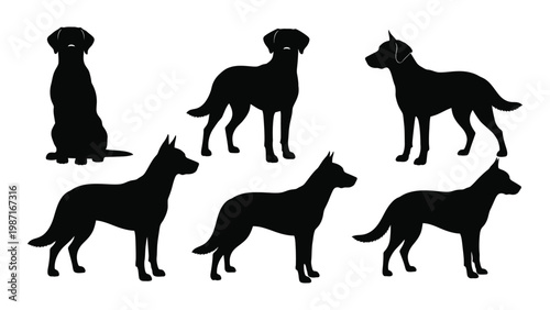 Silhouettes of various dog breeds in different poses against a white background