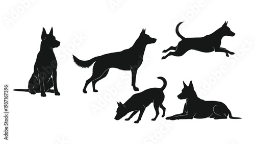 Silhouettes of various dogs in different poses against a white background