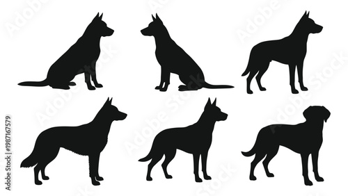 Silhouette depictions of six different dog breeds in varying poses