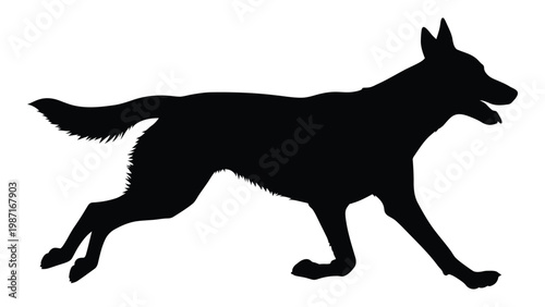Silhouette of a german shepherd dog running in a dynamic pose