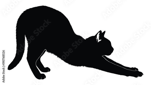 A sleek black cat stretches forward displaying a graceful and elongated pose