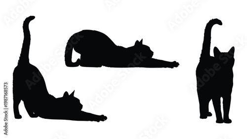 Silhouettes of three cats stretching in various poses against a white background