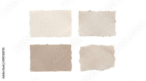 Canvas Print Collection of torn handmade textured cream paper scraps on a transparent backgro