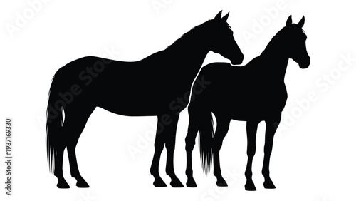 Silhouette of two horses standing closely together against a white background