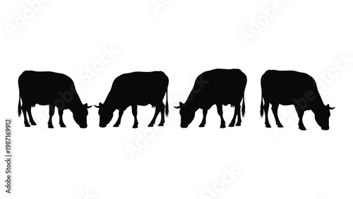 A row of four black silhouettes of cows grazing in a field