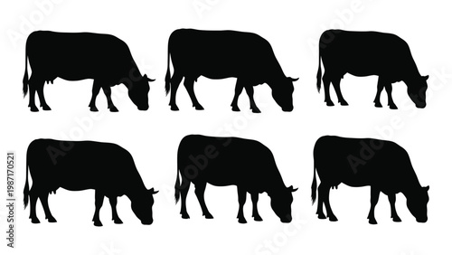 Silhouettes of six cows grazing or resting in a field presented as a set